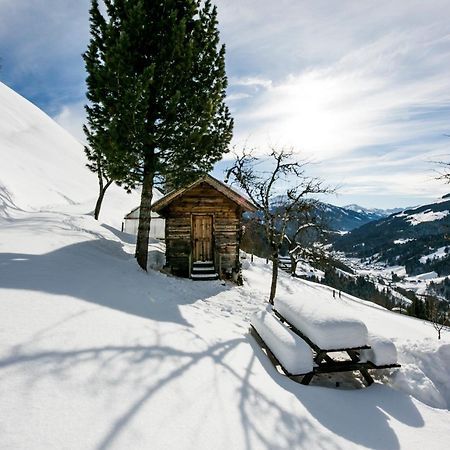 Апартаменты Siedlerhof Хопфгартен-им-Бриксенталь Экстерьер фото