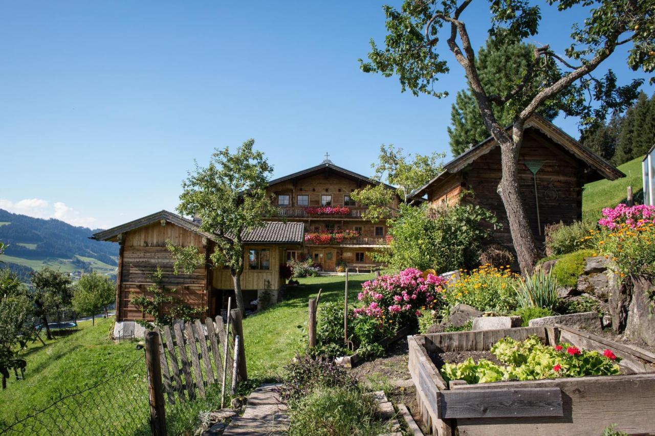 Апартаменты Siedlerhof Хопфгартен-им-Бриксенталь Экстерьер фото