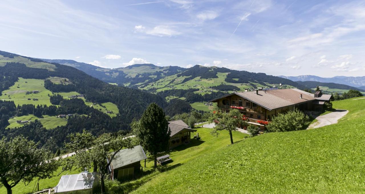 Апартаменты Siedlerhof Хопфгартен-им-Бриксенталь Экстерьер фото