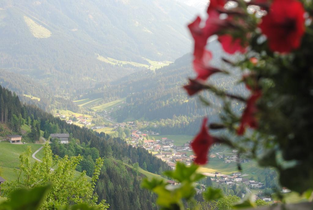 Апартаменты Siedlerhof Хопфгартен-им-Бриксенталь Экстерьер фото