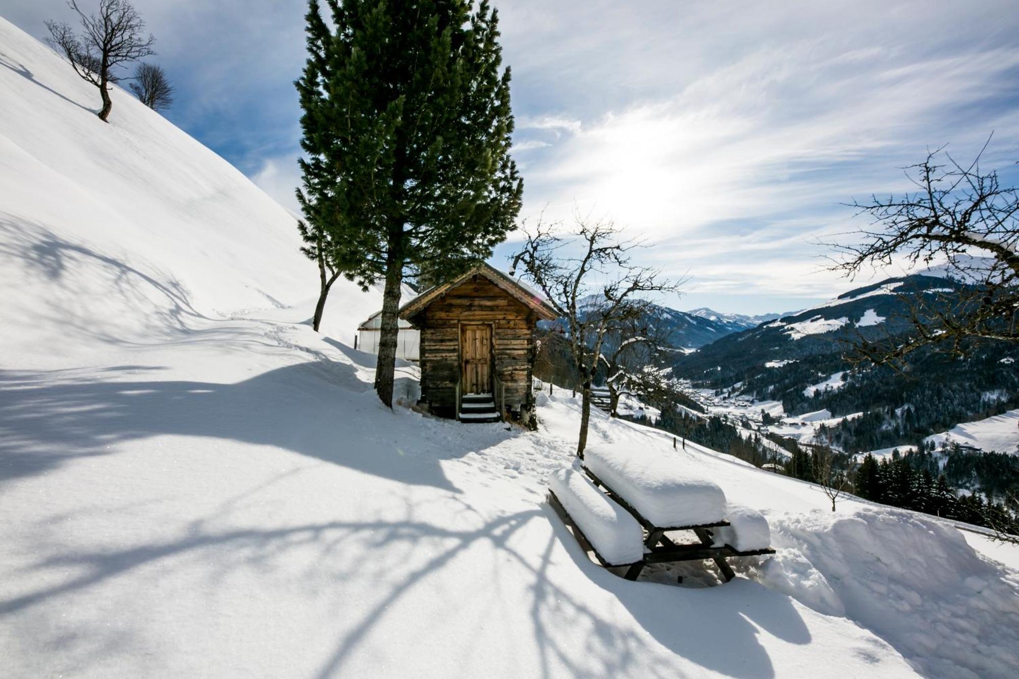Апартаменты Siedlerhof Хопфгартен-им-Бриксенталь Экстерьер фото