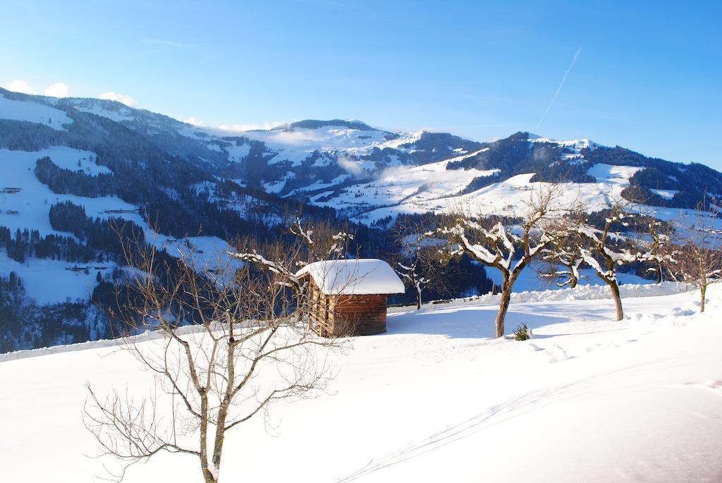 Апартаменты Siedlerhof Хопфгартен-им-Бриксенталь Экстерьер фото