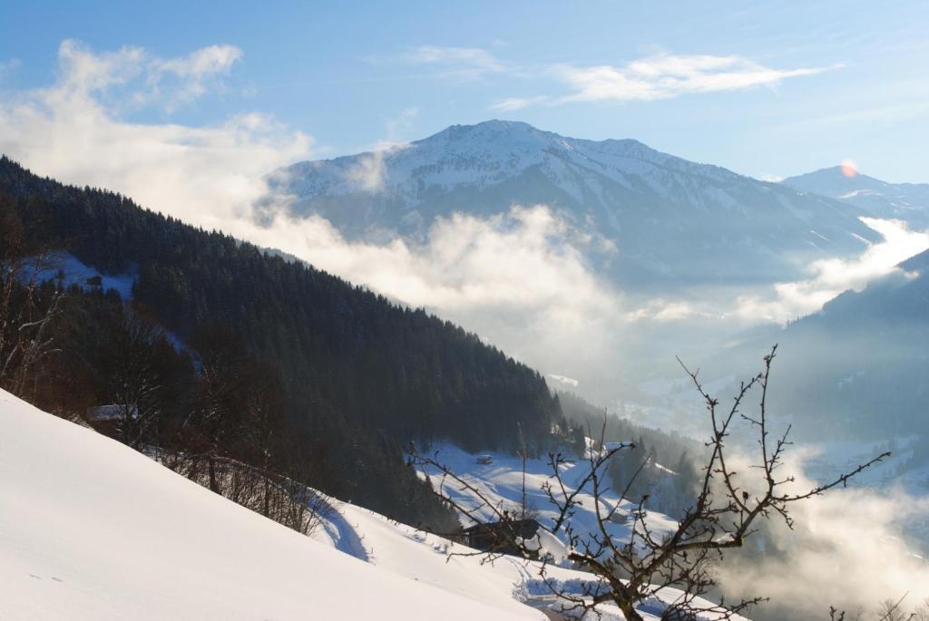 Апартаменты Siedlerhof Хопфгартен-им-Бриксенталь Экстерьер фото