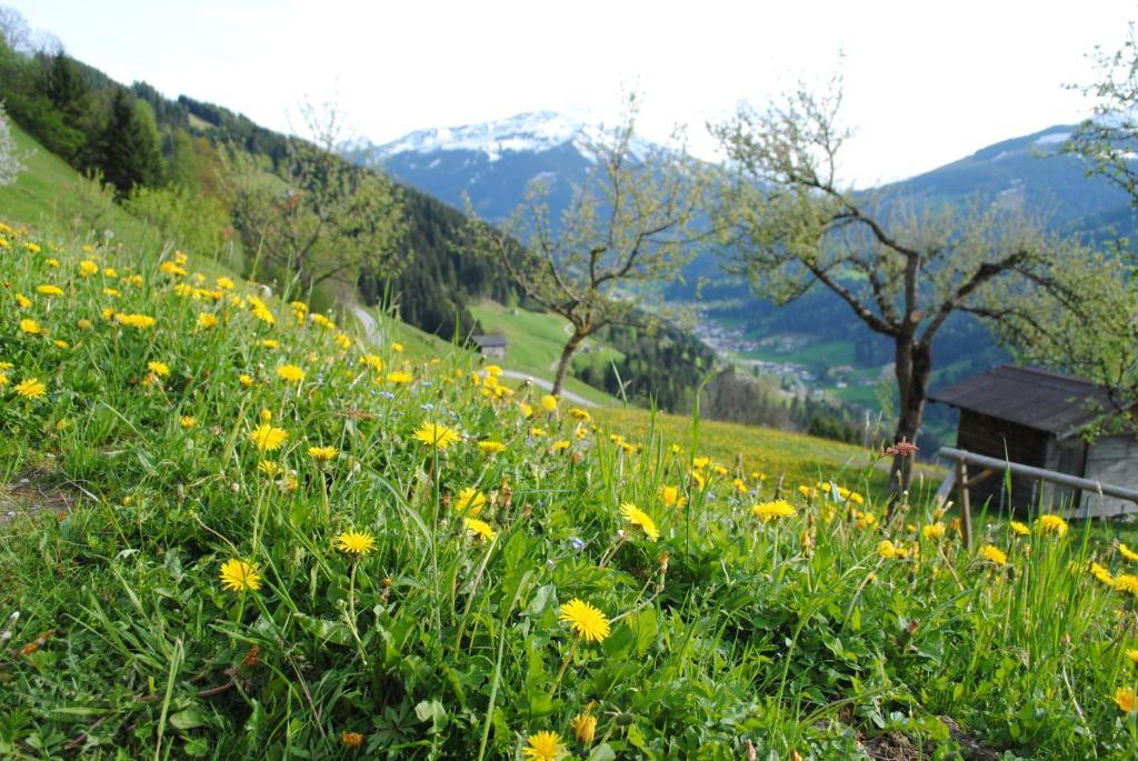 Апартаменты Siedlerhof Хопфгартен-им-Бриксенталь Экстерьер фото